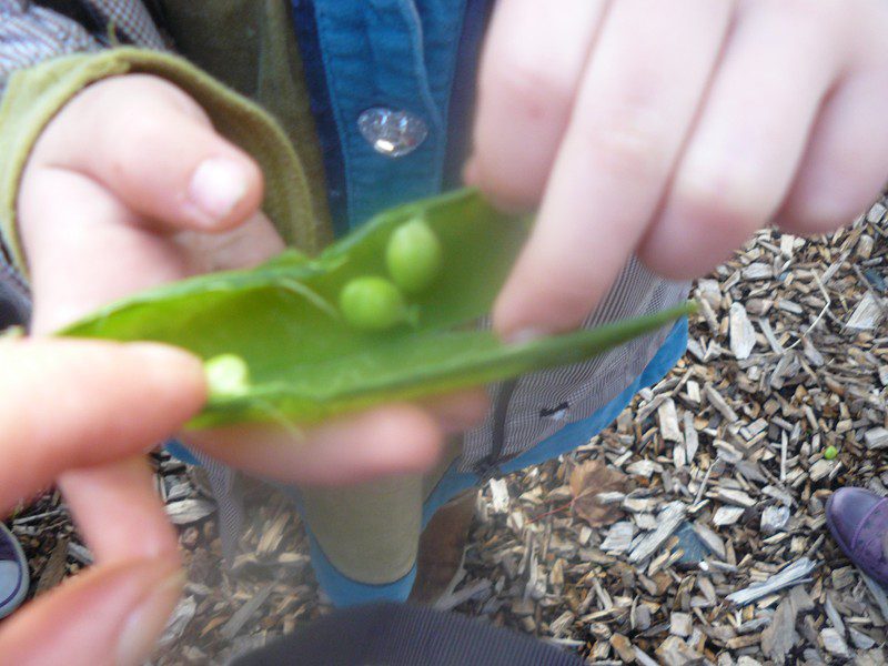 2011_1007garderassembly0034-800x600