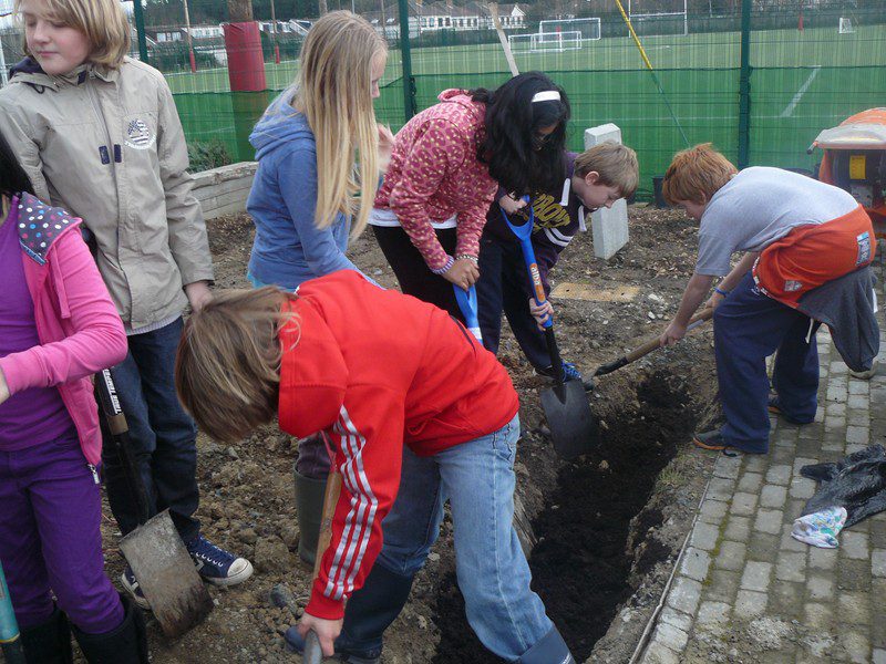 2012_0123schoolsgreen0019-800x600