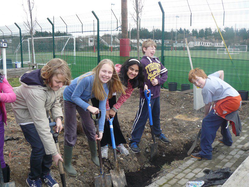 2012_0123schoolsgreen0021-800x600