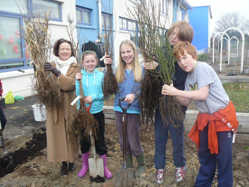 2012_0123schoolsgreen0025-800x600