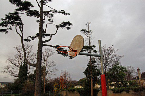 School move 25 (Copy)