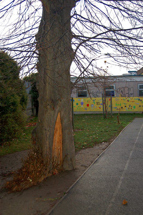 School move 27 (Copy)