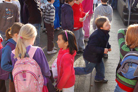 School move 39 (Copy)