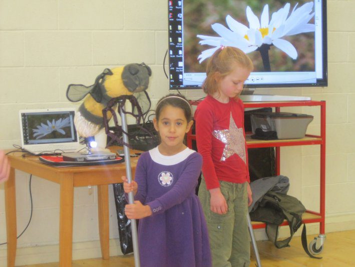 biodiversity-secret-life-of-bees-metns-nov-2013-017