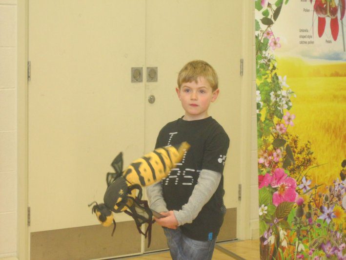 biodiversity-secret-life-of-bees-metns-nov-2013-018
