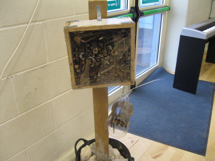 biodiversity-secret-life-of-bees-metns-nov-2013-019