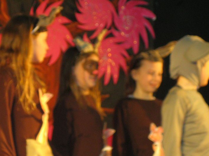 metns-school-show-april-2013-031