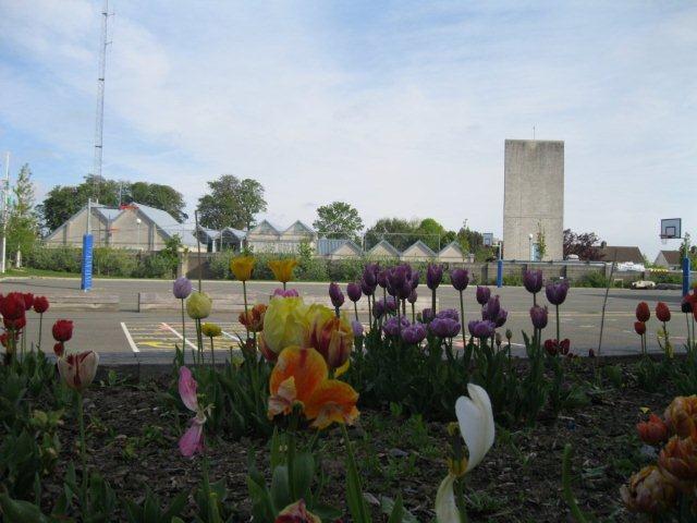 metns-summer-flowers-and-fun-may-2012-002