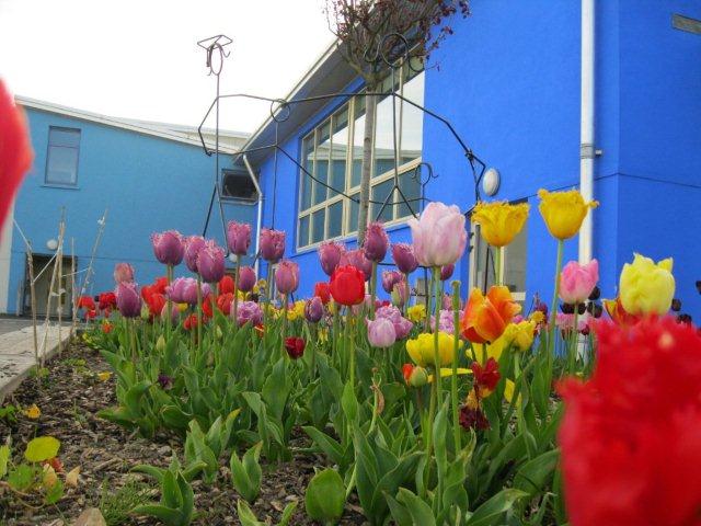 metns-summer-flowers-and-fun-may-2012-003