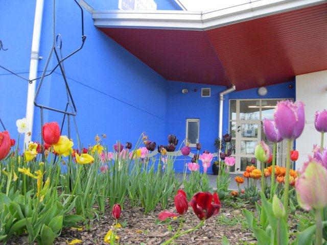 metns-summer-flowers-and-fun-may-2012-005