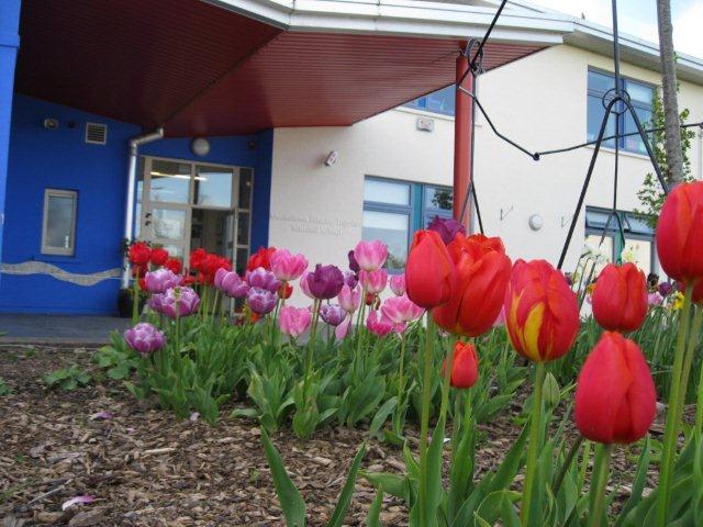 metns-summer-flowers-and-fun-may-2012-008