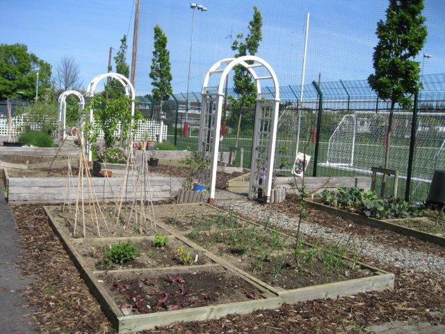 metns-summer-flowers-and-fun-may-2012-019