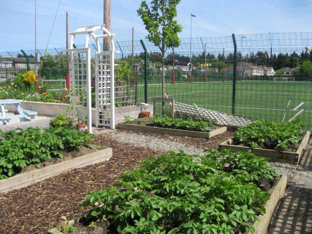 metns-summer-flowers-and-fun-may-2012-020